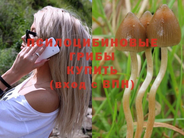 MESCALINE Вяземский