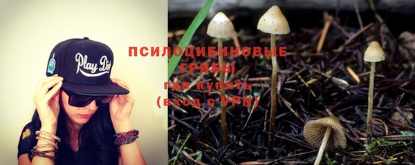 трава Волоколамск